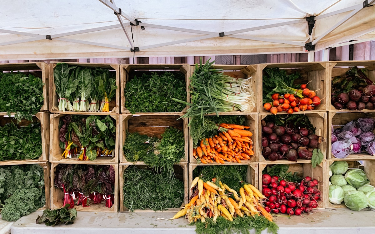 Nutrizione consapevole e sostenibile